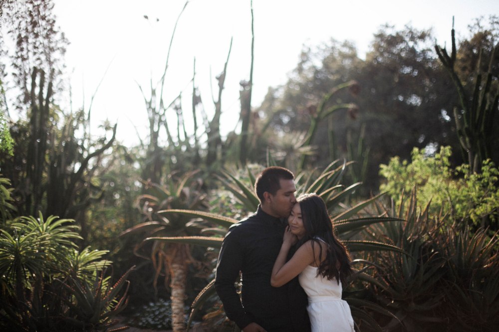 erinjoshengagment-120