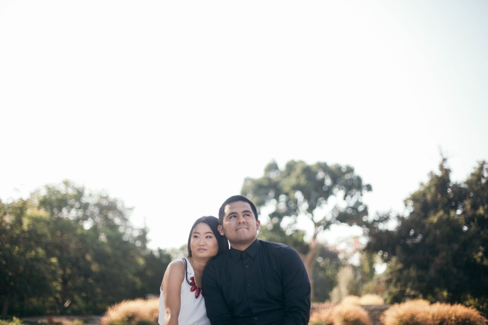 erinjoshengagment-136