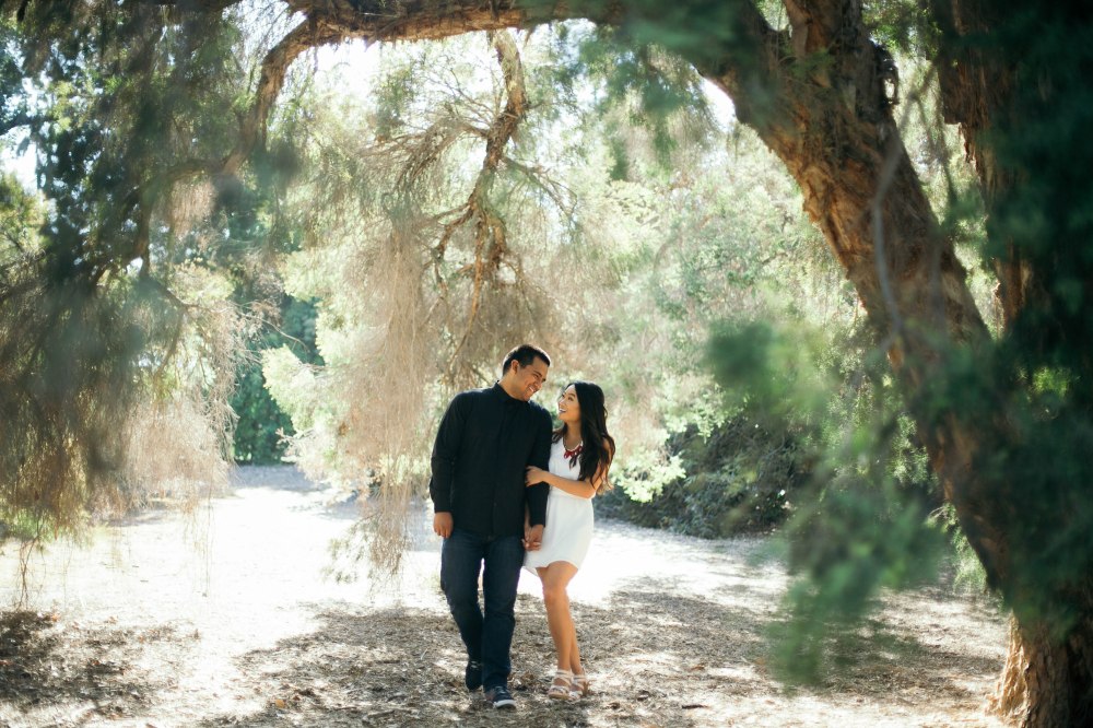 erinjoshengagment-91