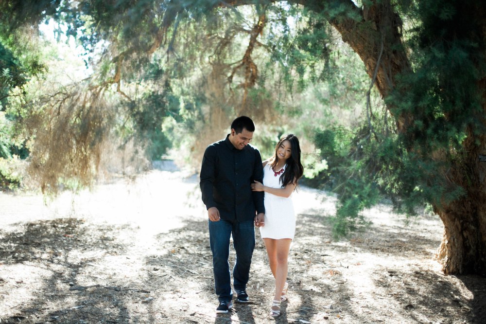 erinjoshengagment-94