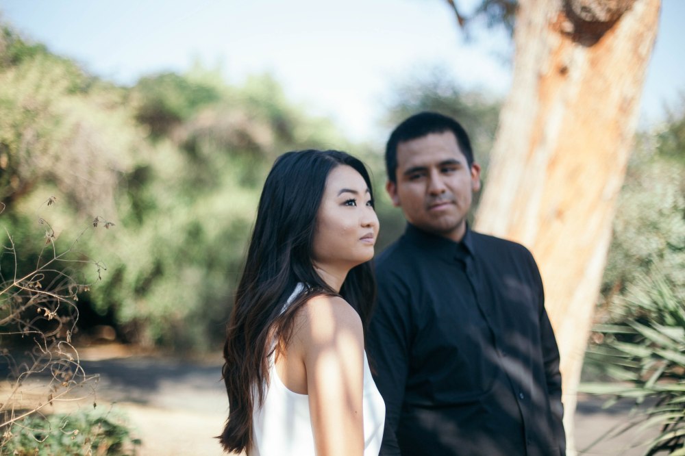 erinjoshengagment-98