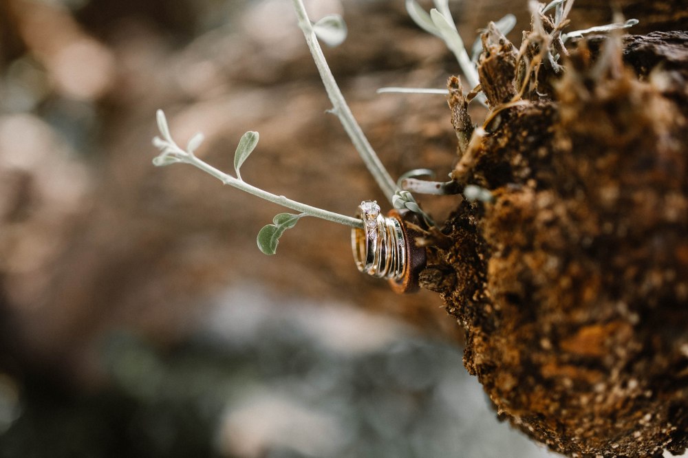 markcaitlinwedding-1